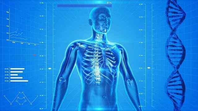 Body Structure and Function
