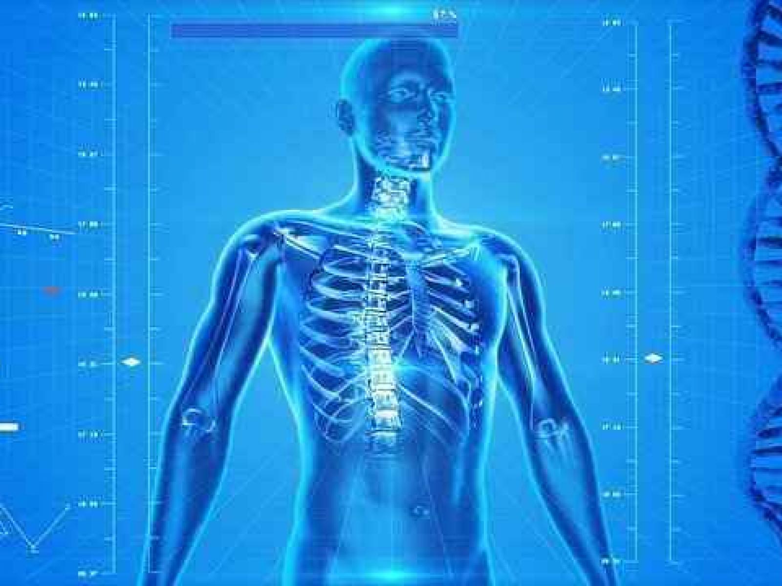Body Structure and Function