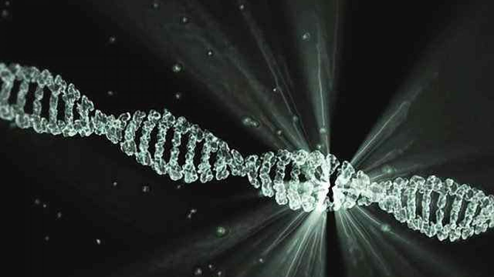 Genetic Inheritance