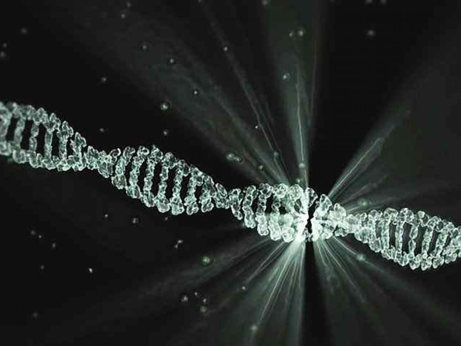 Genetic Inheritance